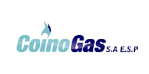COINOGAS